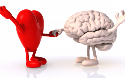 Je brein, de gelukshormonen en je gewoontes